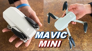 DJI Mavic MINI Review & Flight TEST - Is It REALLY WORTH IT? - TheRcSaylors