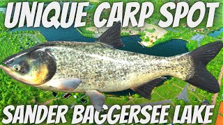 Fishing Planet Sander Baggersee Lake Germany Unique Big Head Silver Carp Xp Money Farm Best Place