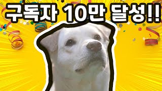 허둥이 구독자 10만명 넘었다!!!