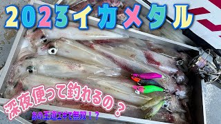 【イカメタル オモリグ】7月中旬 深夜便の釣果はどうなの？まさかの今季一番のサイズ。