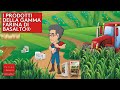 I Prodotti della gamma Farina di Basalto®