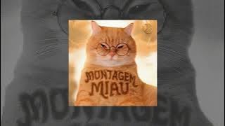 Download lagu Montagem Miau (Meow Meow Song)