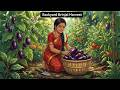 Indian 1990s village , Backyard Brinjal Harvest 🍆  Eggplants Growing &amp; Fresh Picking in the Garden