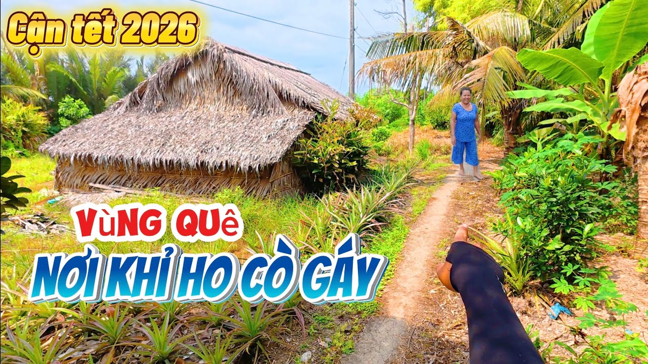 BấT NGỜ lạc vào vùng quê |khỉ ho cò gáy buồn ơi là buồn của GÒ QUAO