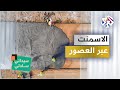 تاريخ اختراع الاسمنت واختلافاته عبر العصور سيداتي سادتي مع عارف حجاوي 