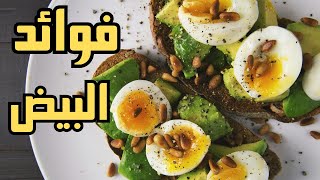 فوائد البيض