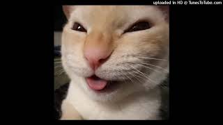 Adimi Kalbi̇ne Yaz 2.0 Cnfrsl