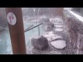 雲仙温泉・宮崎旅館 の動画、YouTube動画。