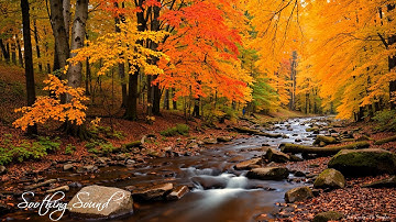 Soothing Autumn Melodies 🍁 Stress Relief and Emotional Healing