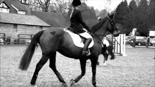 showjumping at reaseheath; 11/3/12