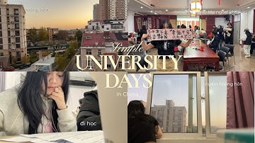 daily vlog mấy ngày ôn thi của du học sinh Trung Quốc | dear ani | study in china 🇨🇳