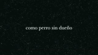 como perro sin dueño (ragazzi)