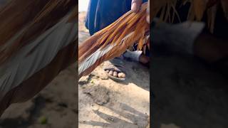 The First Aseel Chicken youtubeshorts shorts short shortsfeed chicken pets animals b