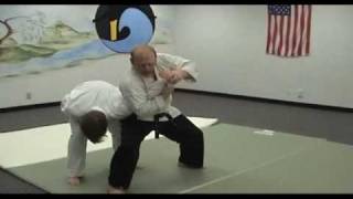 Hapkido Curriculum Evolution