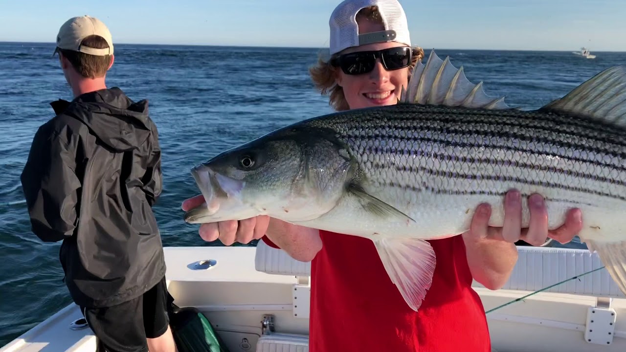 Chatham Striper Fishing (2k18)(BirdDogFishing) YouTube