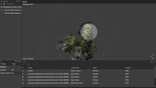 3D modelling in Agisoft photoscan software screenshot 5