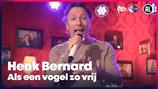 Henk Bernard - Als een vogel zo vrij (LIVE) // Sterren NL Radio