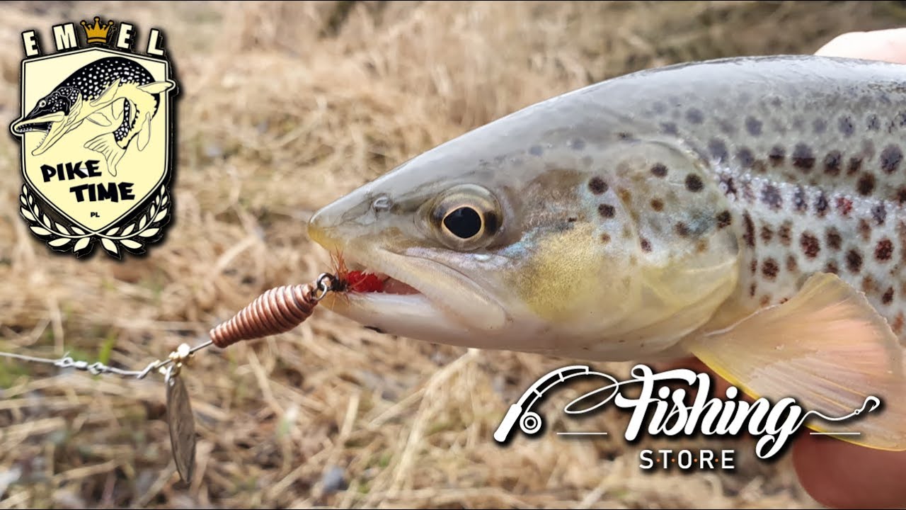 łowienie pstrągów z małej rzeki