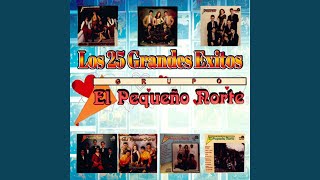 Video thumbnail of "Grupo El Pequeño Norte - Te Vere Llorar"