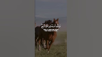 ﴿وَاللَّهُ خَلَقَ كُلَّ دَابَّةٍ مِّن مَّاءٍ ﴾[سورة النور: 45]🎧 القارئ محمد أيوب