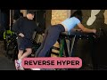 How to perform the Reverse Hyper