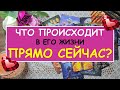 ЧТО ПРОИСХОДИТ В ЕГО ЖИЗНИ ПРЯМО СЕЙЧАС? Таро Онлайн Расклад Diamond Dream Tarot