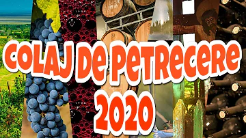 Muzica Populara 2020 de Petrecere  Colaj Muzica de Petrecere 2020 (Melodii de Chef si Voie Buna)