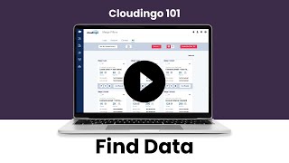 Easily Find Data With Cloudingo