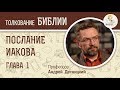 Послание Иакова. Глава 1. Вера и мудрость. Андрей Десницкий. Библия