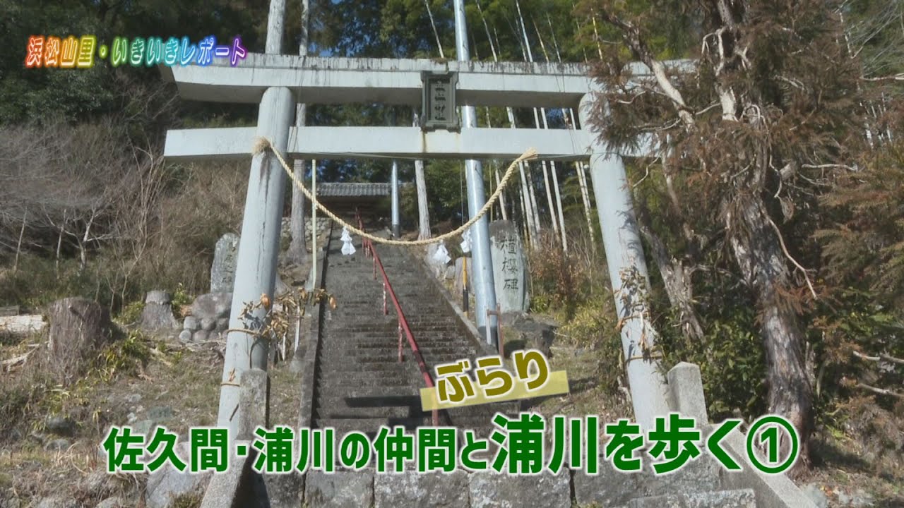 【浜松山里・いきいきレポート】ぶらり浦川歩き①