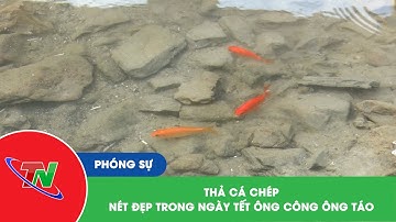 Thả cá chép nét đẹp trong ngày Tết ông Công ông Táo