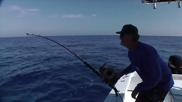 The Daytime Swordfish Bite and How to Recognize it