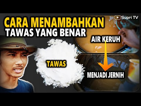 Video: Adakah tawas larut dalam air?