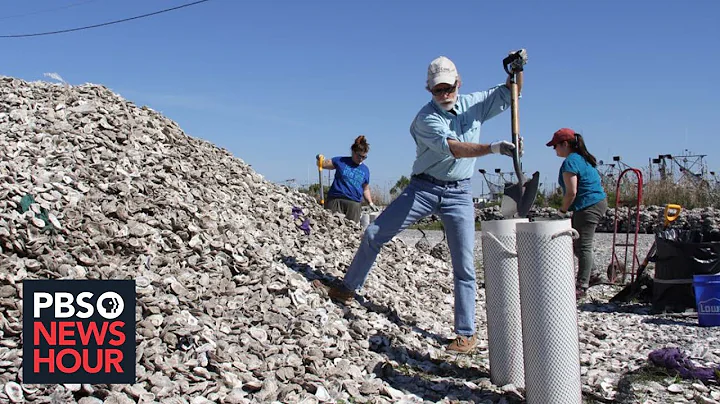 How recycled oyster shells are helping save Louisiana's dwindling coastline - DayDayNews