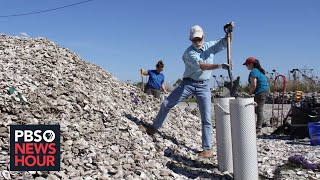 How recycled oyster shells are helping save Louisiana's dwindling coastline