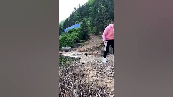 npm install #javascript #webdevelopment #programming #javascriptwizz #softwareengineer #vscode #css