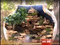 Chatt Par Baghwani - Make your own Penjing - Part 1