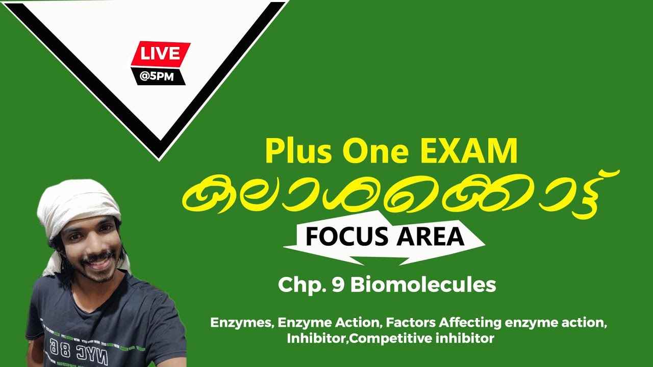 PLUS ONE BIOLOGY|FOCUS AREA|BIOMOLECULES|ENZYMES|FACTORS AFFECTING ENZYME ACTION|GRAPHS