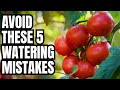 5 Garden Watering Mistakes Everyone Makes