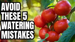 5 Garden Watering Mistakes Everyone Makes