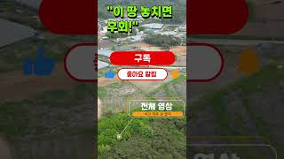 평당57만원 실화?! 이 땅 놓치면 후회!! 대부도 급매 토지 매매 /대부도부동산 NO 1155