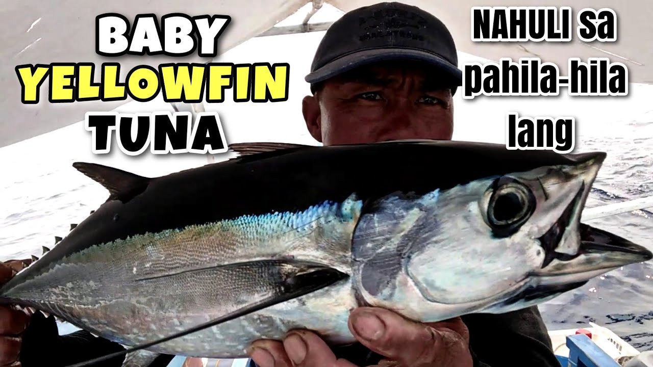 CATCHING GULYASAN | MAAGA PA LANG MADAMI NA TAYONG HULI | NONO OFFICIAL VLOG