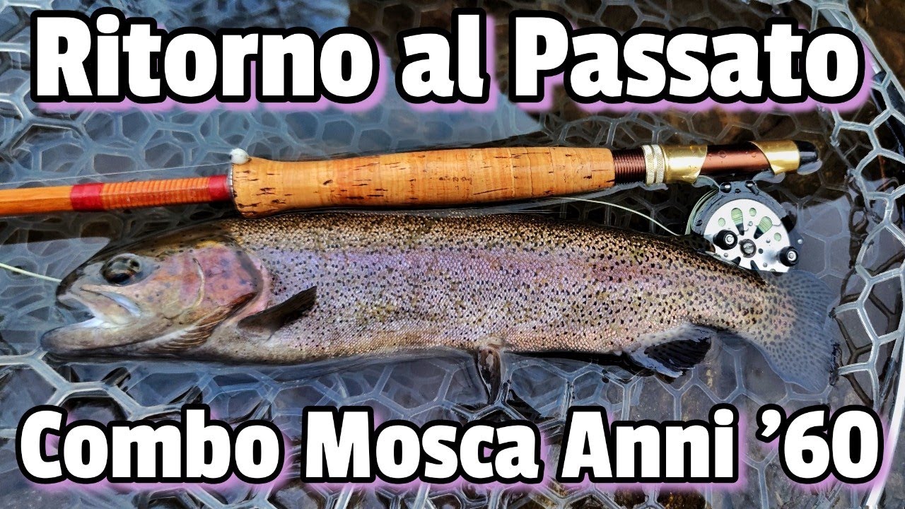 WickedGoodz Adesivo In Vinile Per Pesca A Mosca – Decalcomania Trota Per Auto, Computer O Cassette