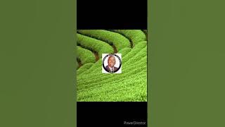 NANDI - KIPCHAMBA ARAP TAPOTUK