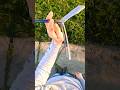 Flipping a medusa balisong butterflyknife trainer tricks fidgettoys toy shortsfeed shorts