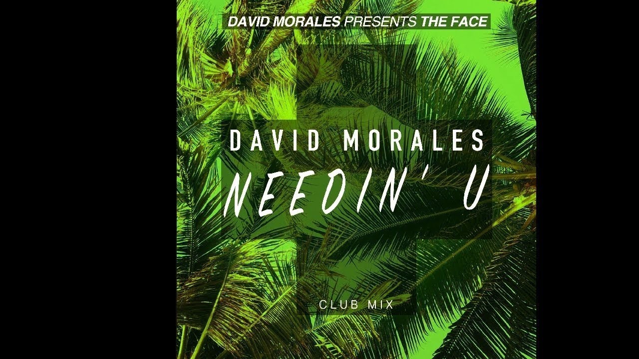 デヴィッド・モラレス・プレゼンツ・ザ・フェイス 『ニーディン・ユー』 David Morales presents The Face - Needin' U (Official Music