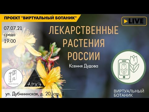 Видео: 9 самых мощных лекарственных растений и трав при поддержке науки