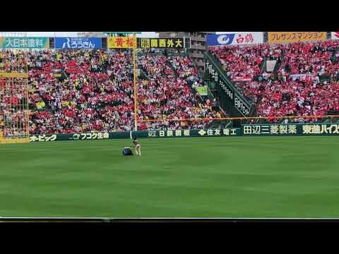 阪神Tigers 令和元年初日 阪神 VS 広島の広島のオーダー