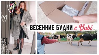 ВЕТЕР УНЁС БАТУТ !!!🤯 ПОКУПКИ ДЕТСКОЙ ОДЕЖДЫ💛