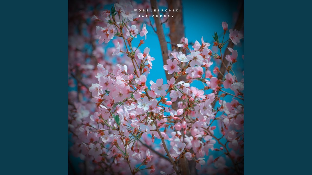 Guarda Jap Cherry su YouTube Guarda Jap Cherry su YouTube